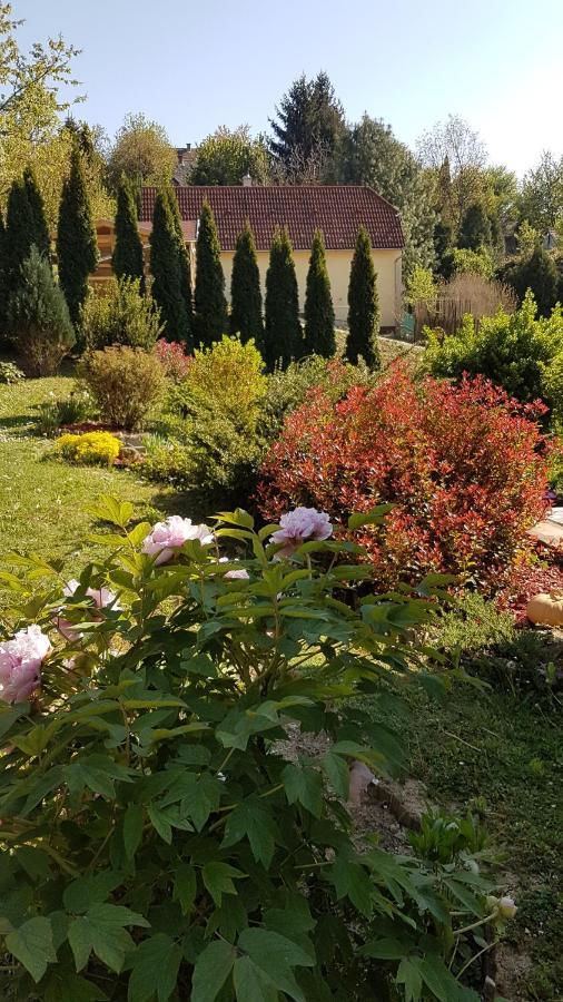 Levendulás Vendégház Zalaegerszeg Esterno foto